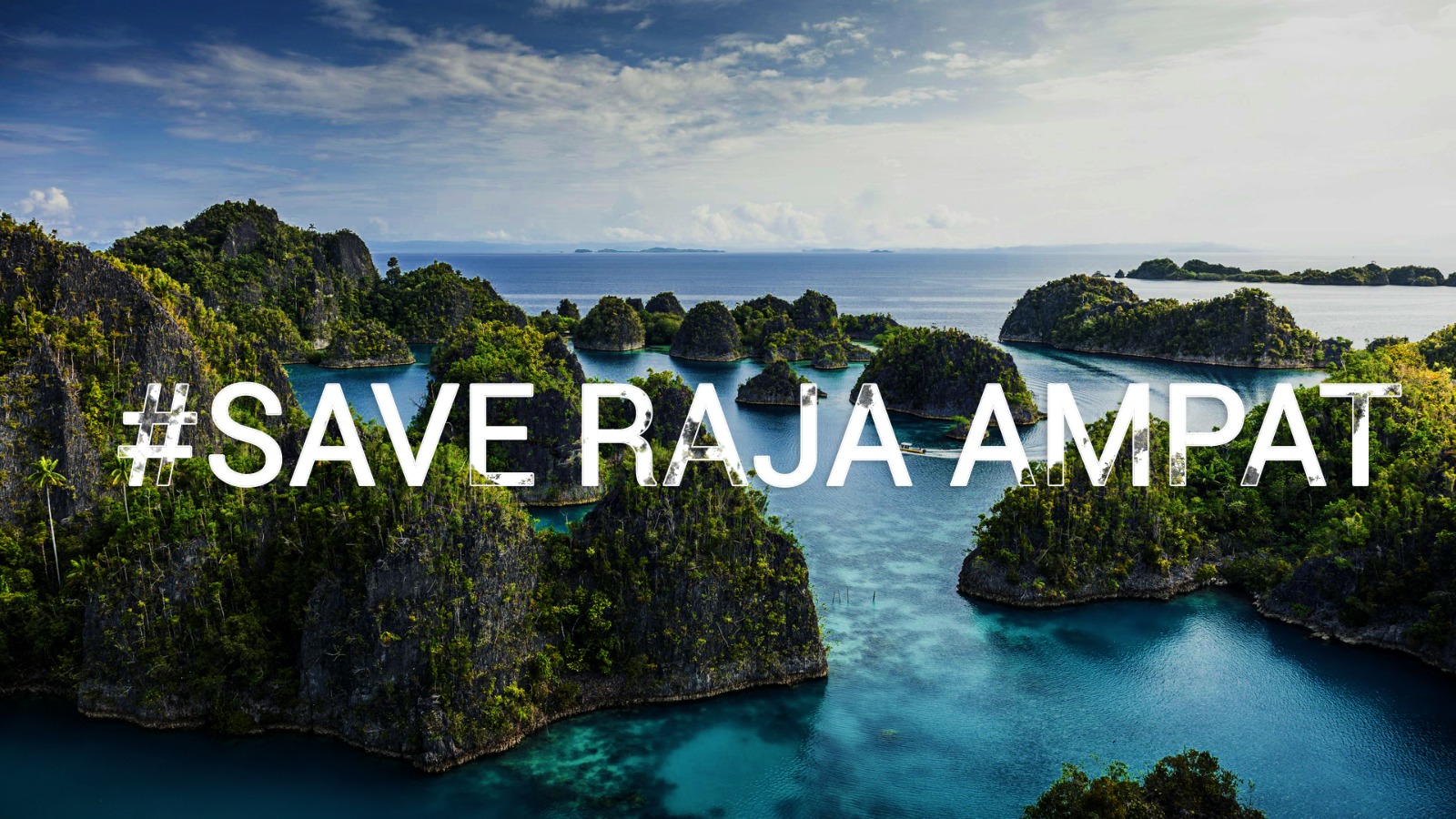 Save Raja Ampat